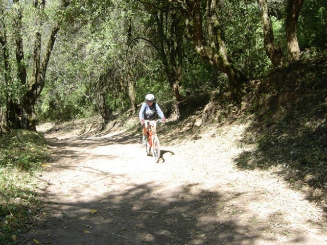  Mountain bike 